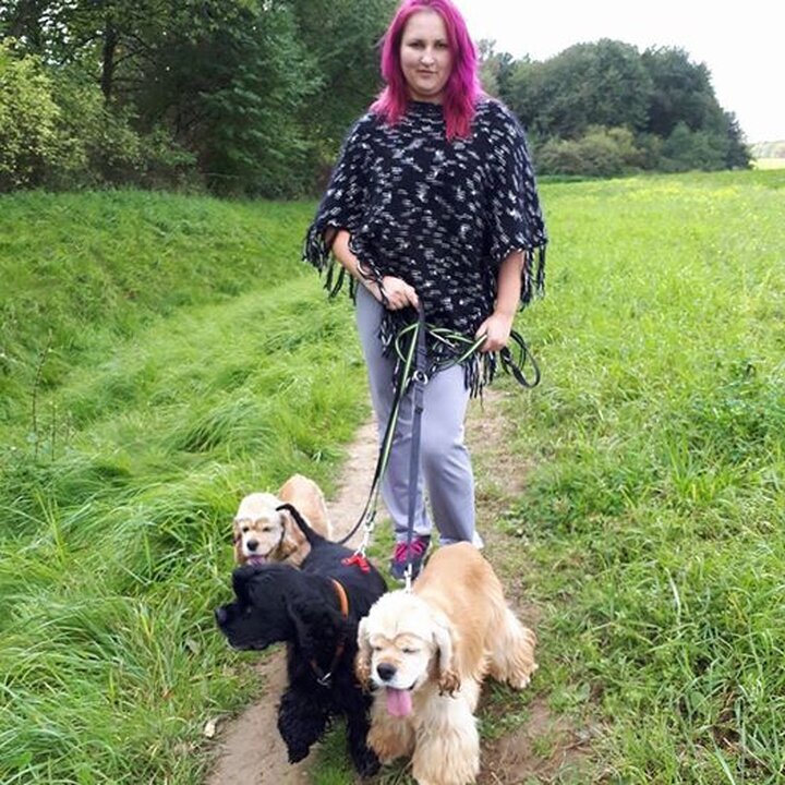 Bilder Hundezentrum Lapki