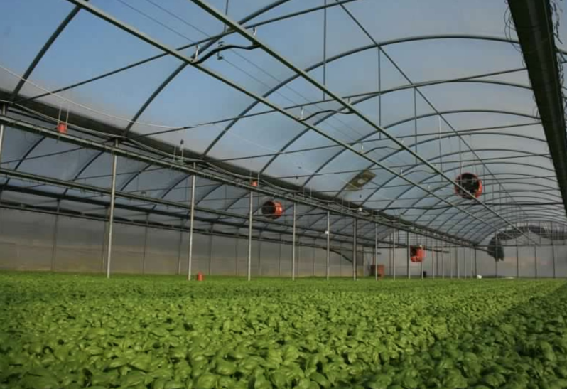 Images Azienda Agricola Magnani Gigliola