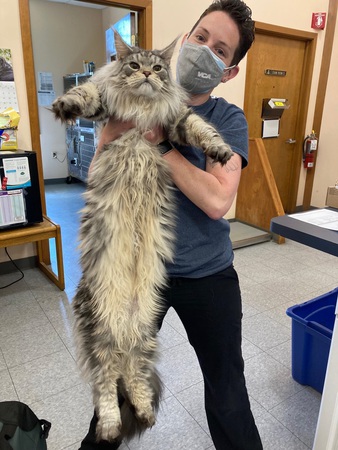 Images VCA Montgomery Road Animal Hospital