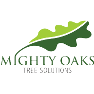 LOGO Mighty Oaks Tree Solutions Ltd Caerphilly 07977 469324
