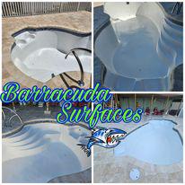 Images Barracuda Surfaces