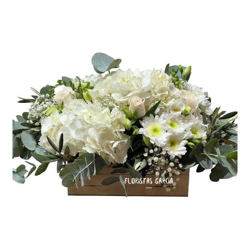 Images Floristas García