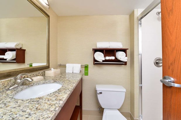 Images Hampton Inn Detroit/Auburn Hills South