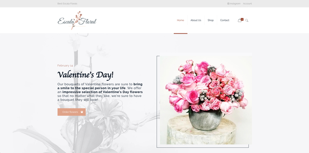 Images Plenty of Pixels – St. Petersburg Web Design