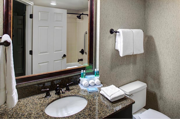 Images Holiday Inn Express & Suites Atlanta Buckhead by IHG