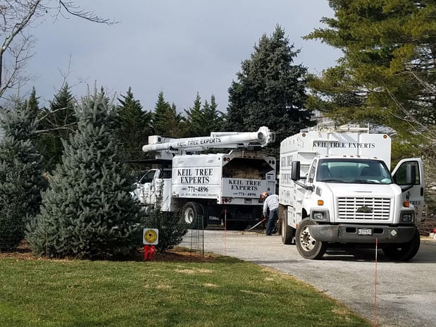 Images Keil Tree Experts Inc