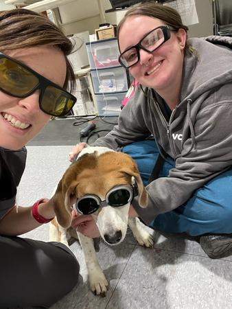 Images VCA Montgomery Road Animal Hospital