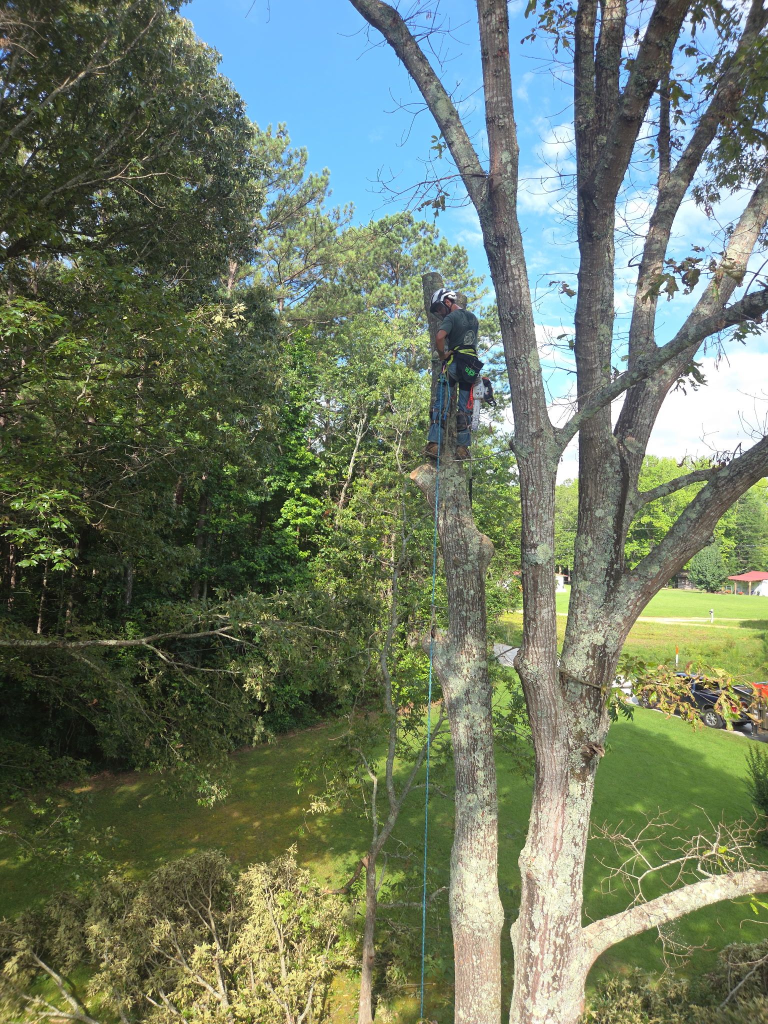 Oaks Land Solutions Image