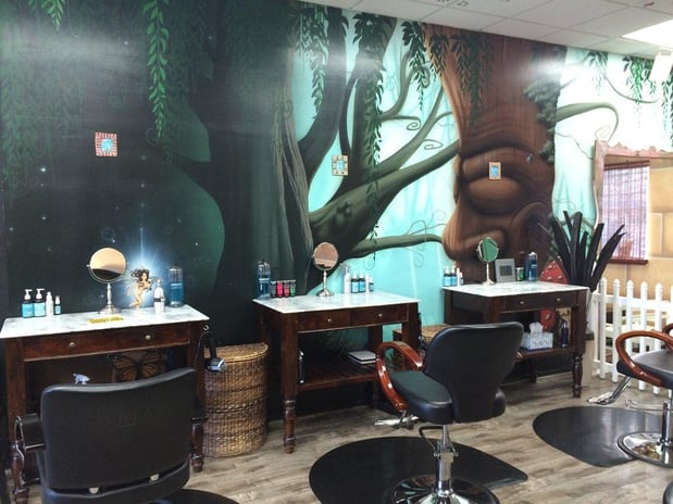 Images Hair Fairies The Head Lice Helpers Los Angeles