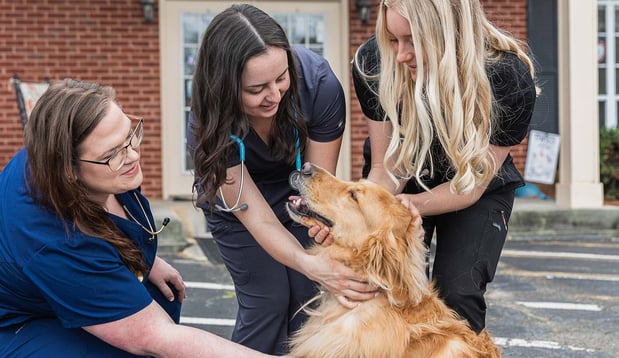 Images Houston Veterinary Clinic