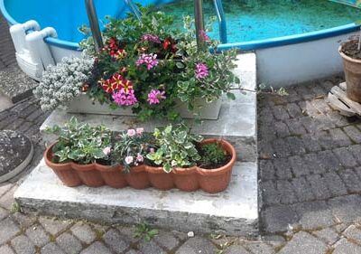 FLIESEN NOVI Meisterbetrieb, Edelweißstraße 12 in Burgkirchen an der Alz