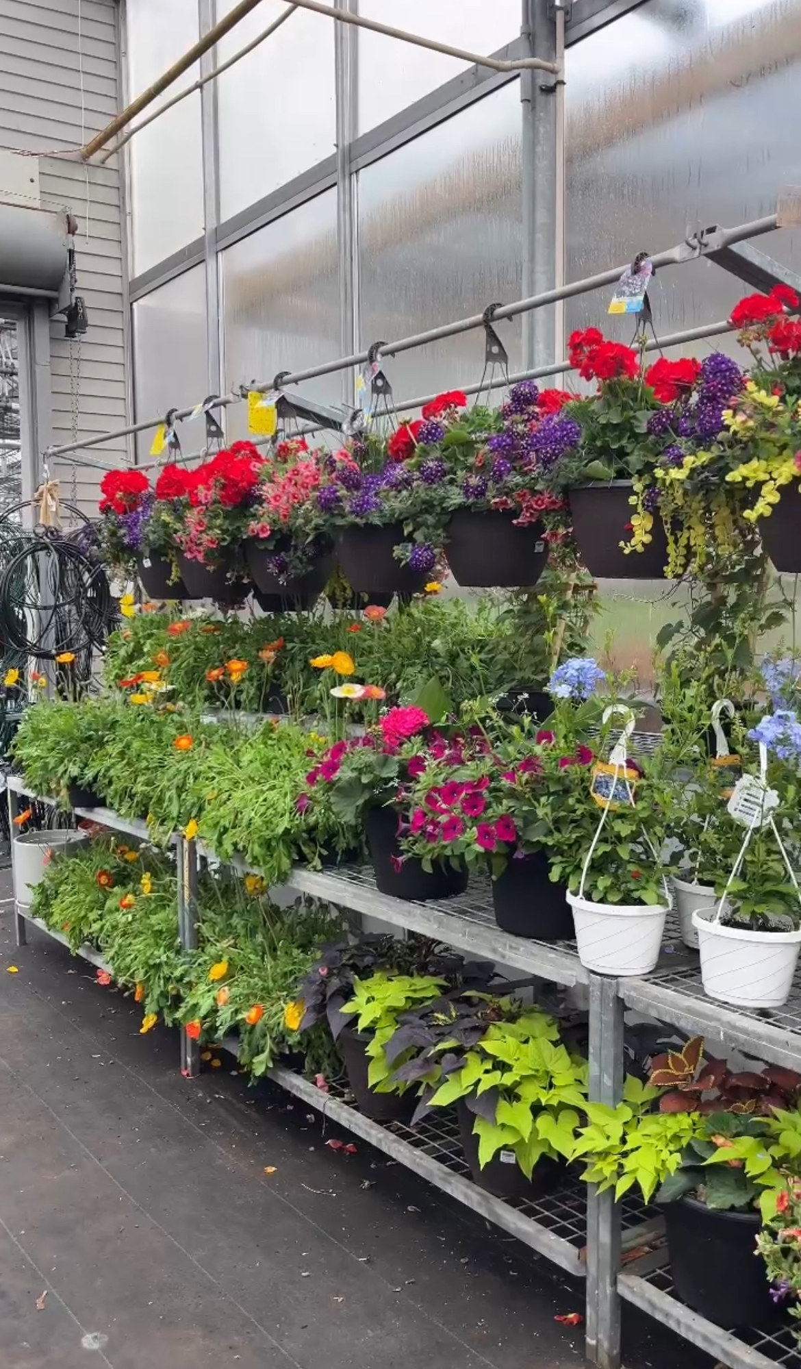 Images Meadow Acres Garden Centre