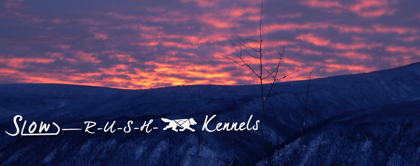 Husky Lifestyle Kennel Tours