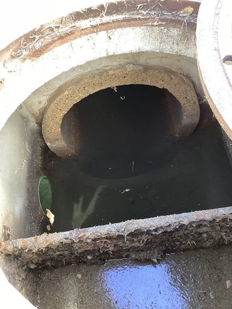 Images Zoom Drain
