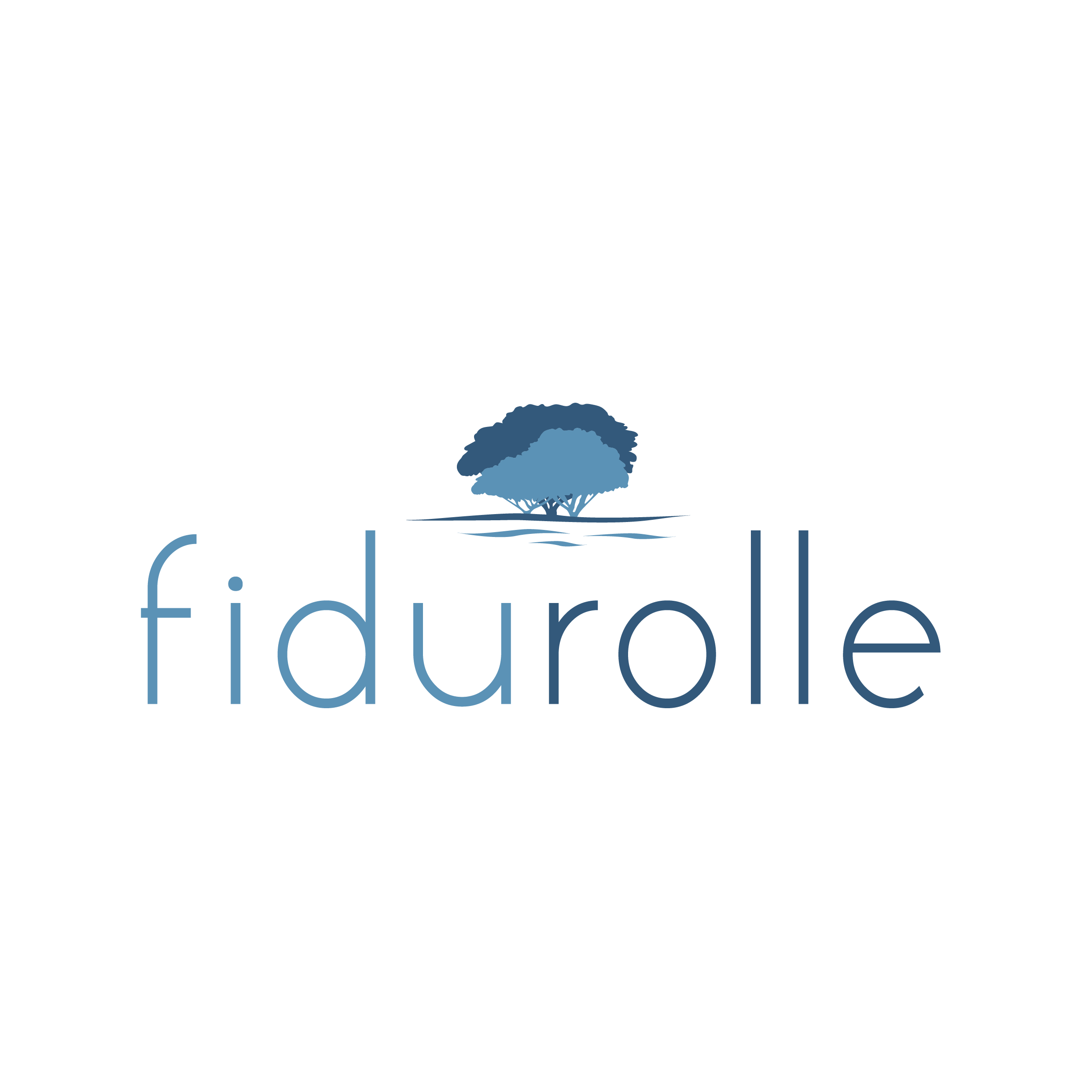 Fidurolle SA Logo