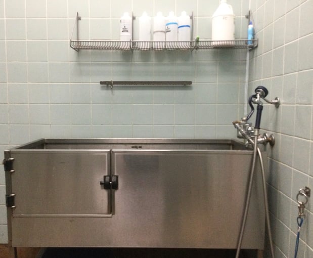 Images Petco Grooming