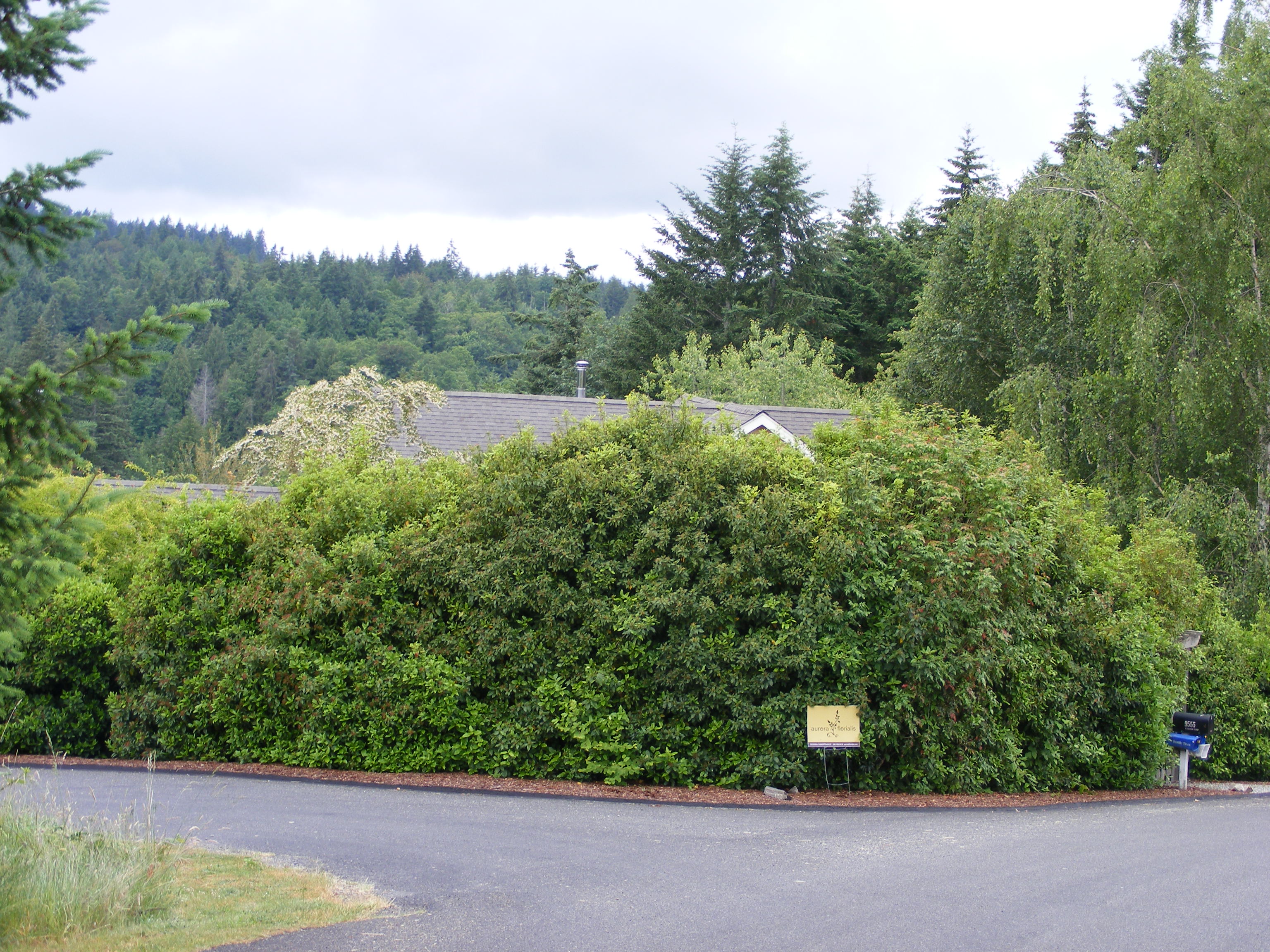 Scott's Home & Roof Service Image