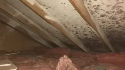 Images Freedom Crawlspace Services