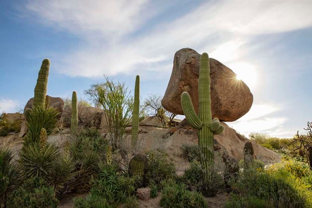 Images Boulders Resort & Spa Scottsdale, Curio Collection by Hilton