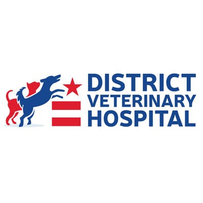 District Veterinary Hospital Eastern Market