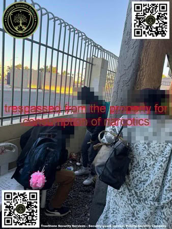 Images TreeStone Security Services