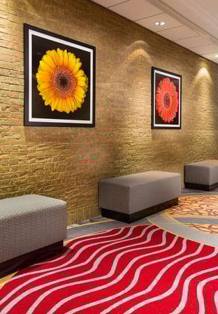 Images Hilton Chicago/Northbrook