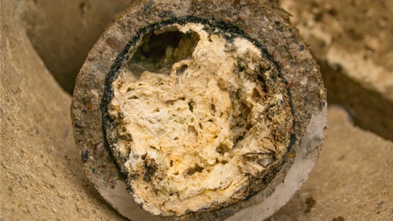 Images R. Hansen & Søn ApS