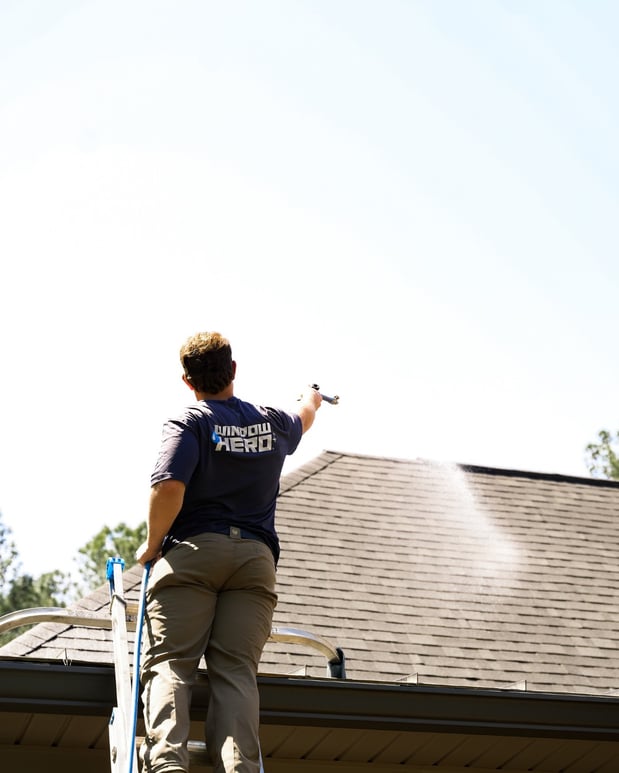 Images Window Hero Raleigh