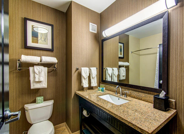 Images Holiday Inn Arlington NE-Rangers Ballpark by IHG