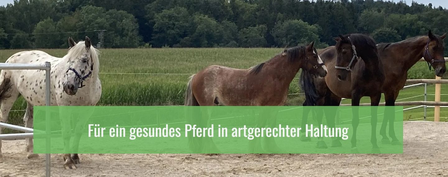 Aktivstall Dirnberg, Dirnberg 1 in Amerang