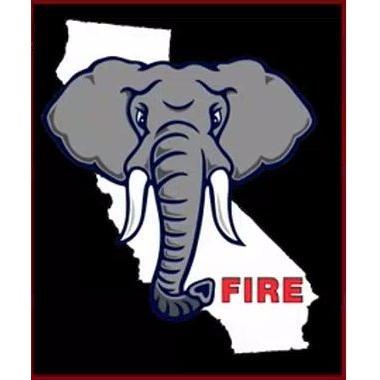Elephant Fire Extinguisher Service Logo