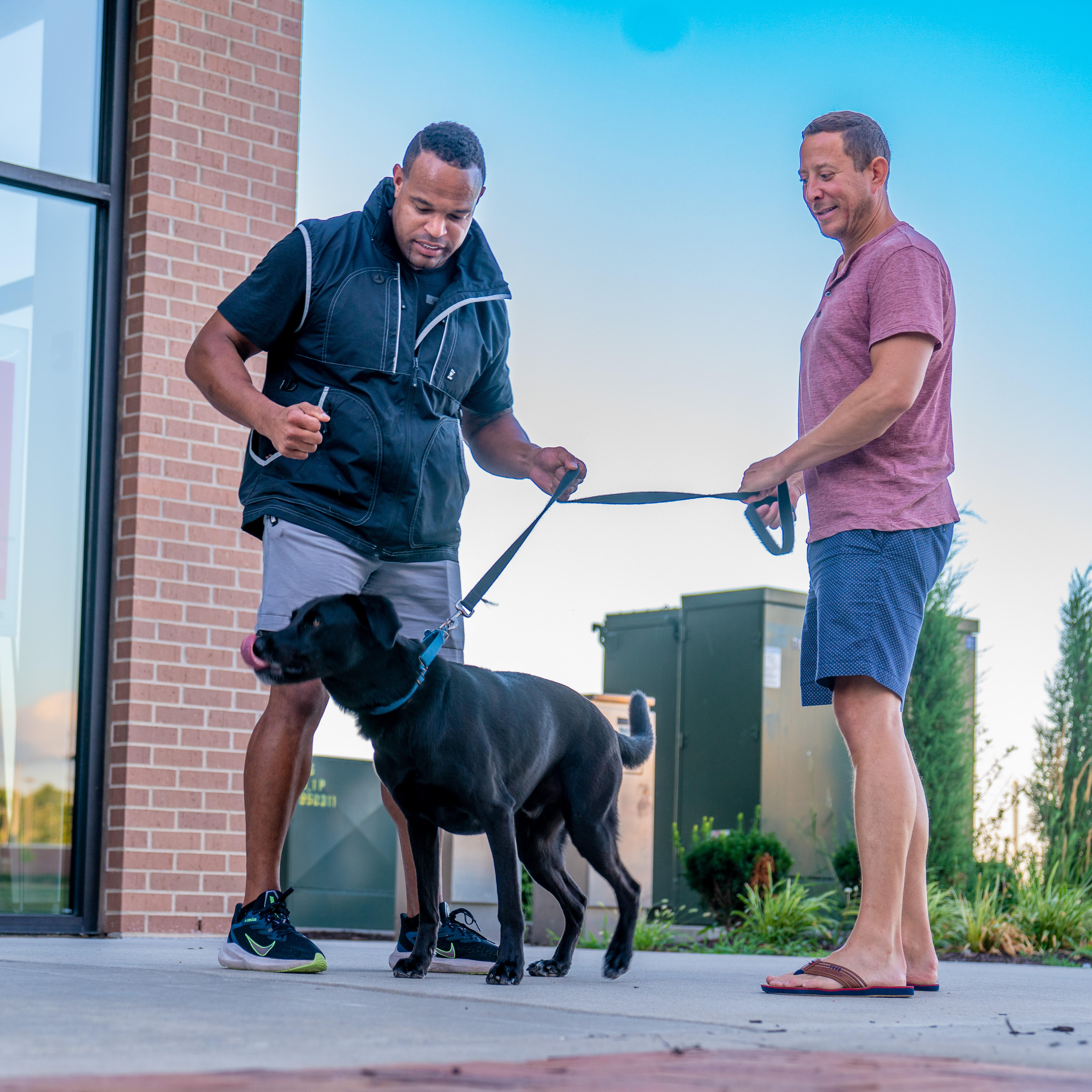 Dog trainer working with owner and dog