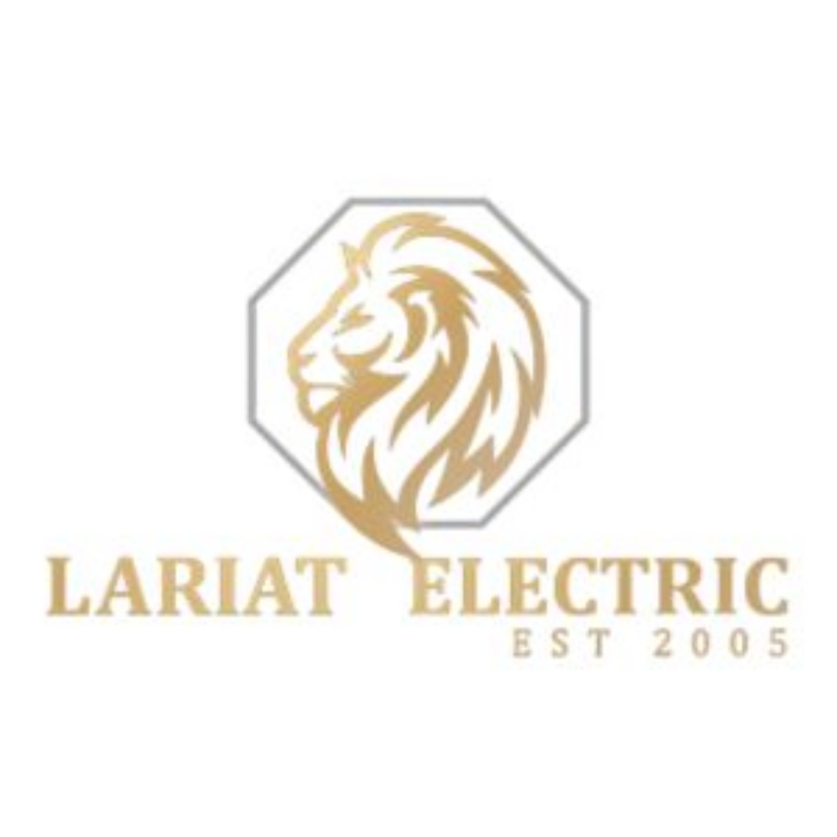 Lariat Electric