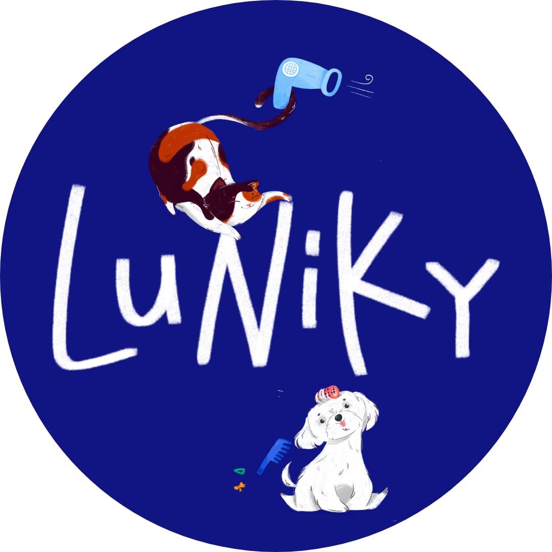 LuNiKy AG Logo