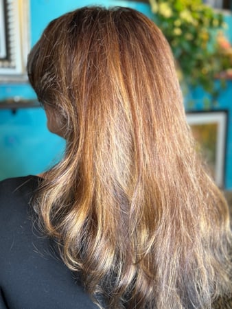 Images Lady Godiva Hair Studio