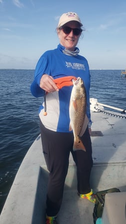 Images E-6 INSHORE FISHING ADVENTURES, LLC