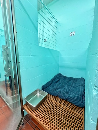 Images VCA Noah’s Place Animal Medical Center