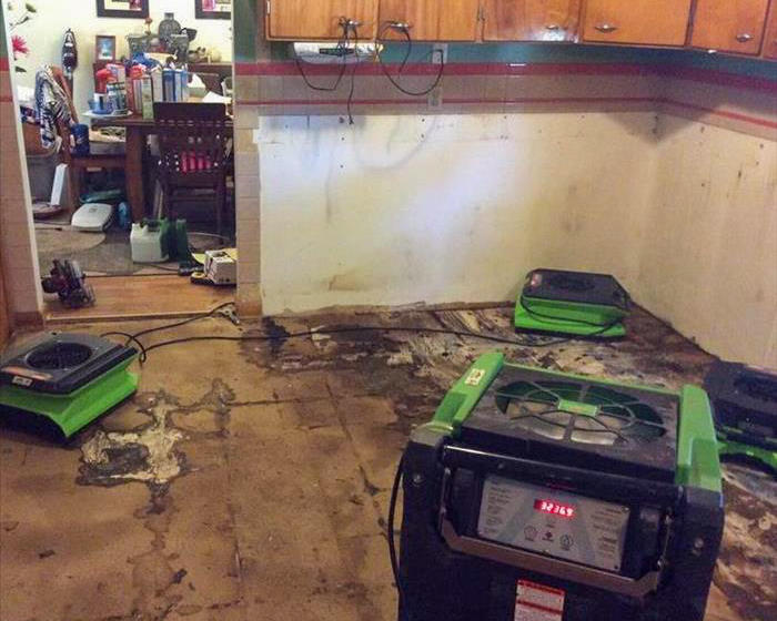 You may have a mold problem if there are bad smells coming from your floors, walls, or drains. SERVPRO of Carthage/Joplin is equipped to meet all of your mold removal requirements. Give us a call!