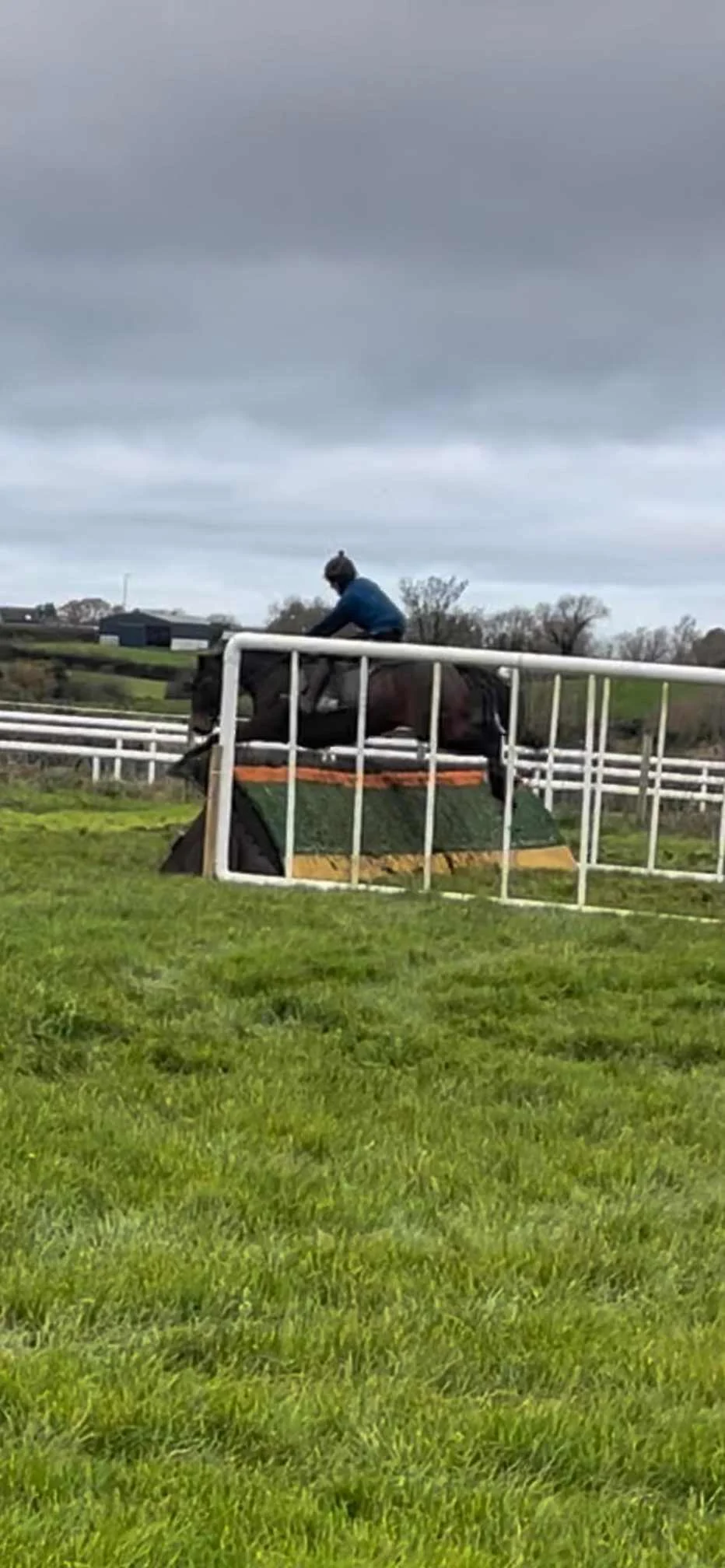 Images Moira Equestrian Centre