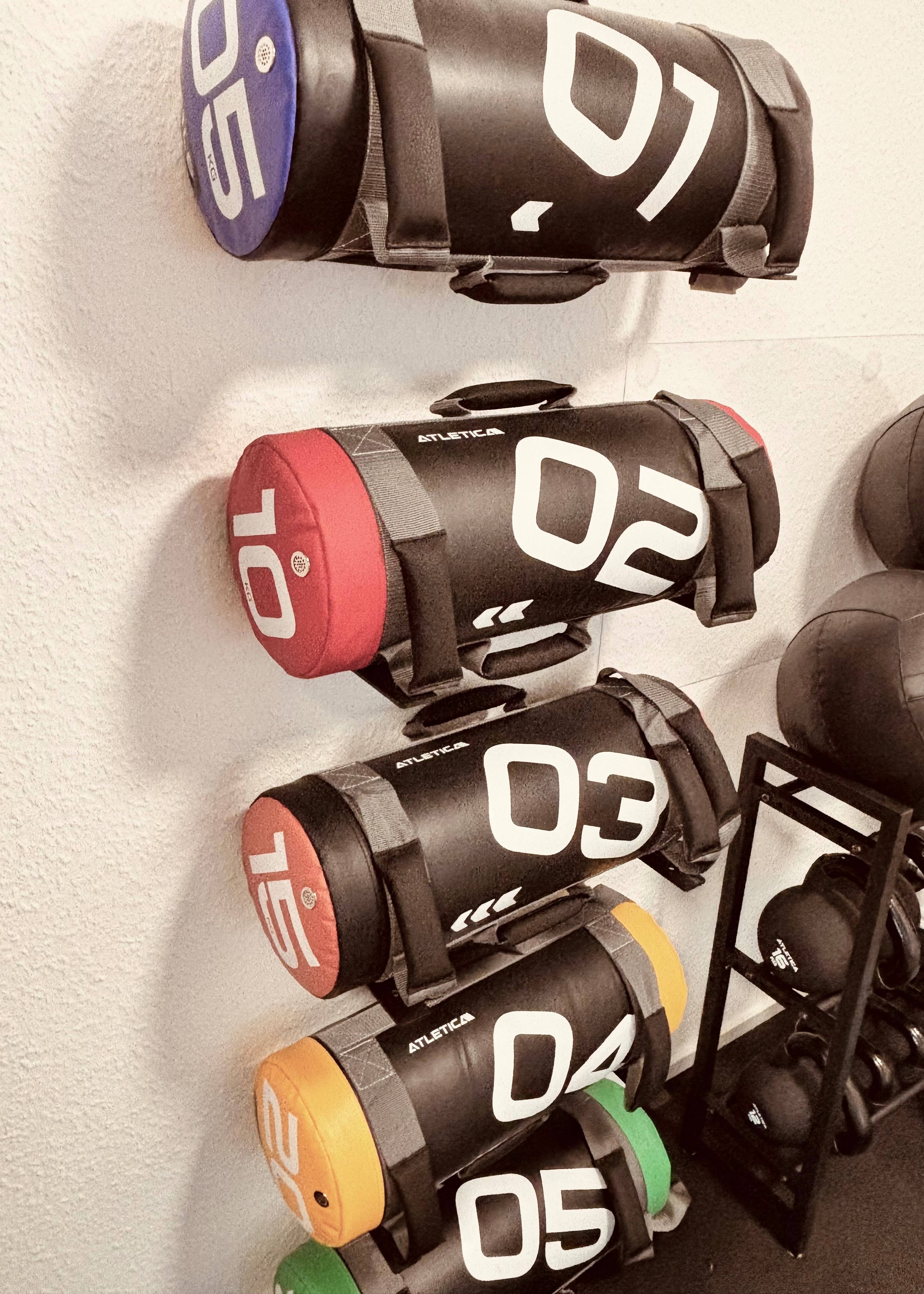 Physiomotion - GALLERY