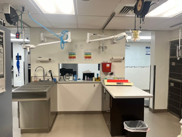 Images VCA Castle Shannon Animal Hospital