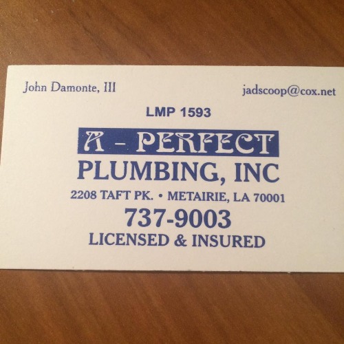 A-Perfect Plumbing Logo