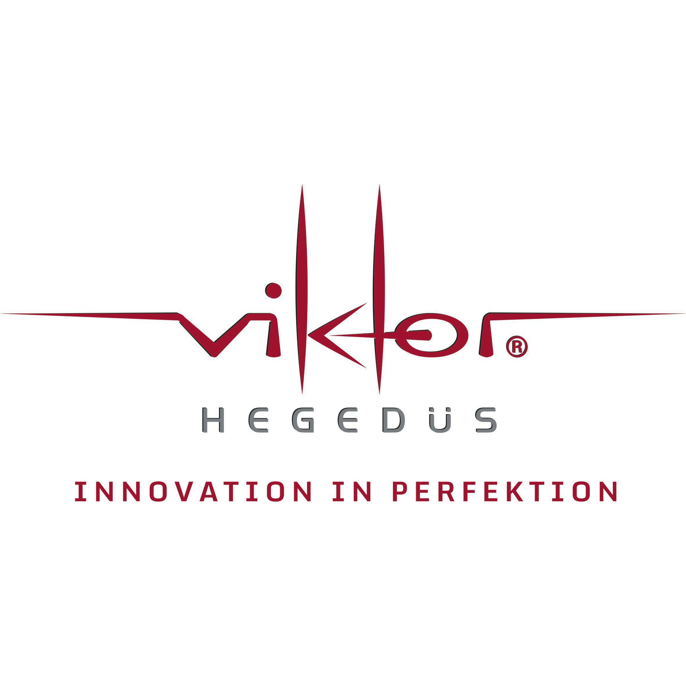 Viktor Hegedüs GmbH Wehingen Viktor Hegedüs GmbH Wehingen
