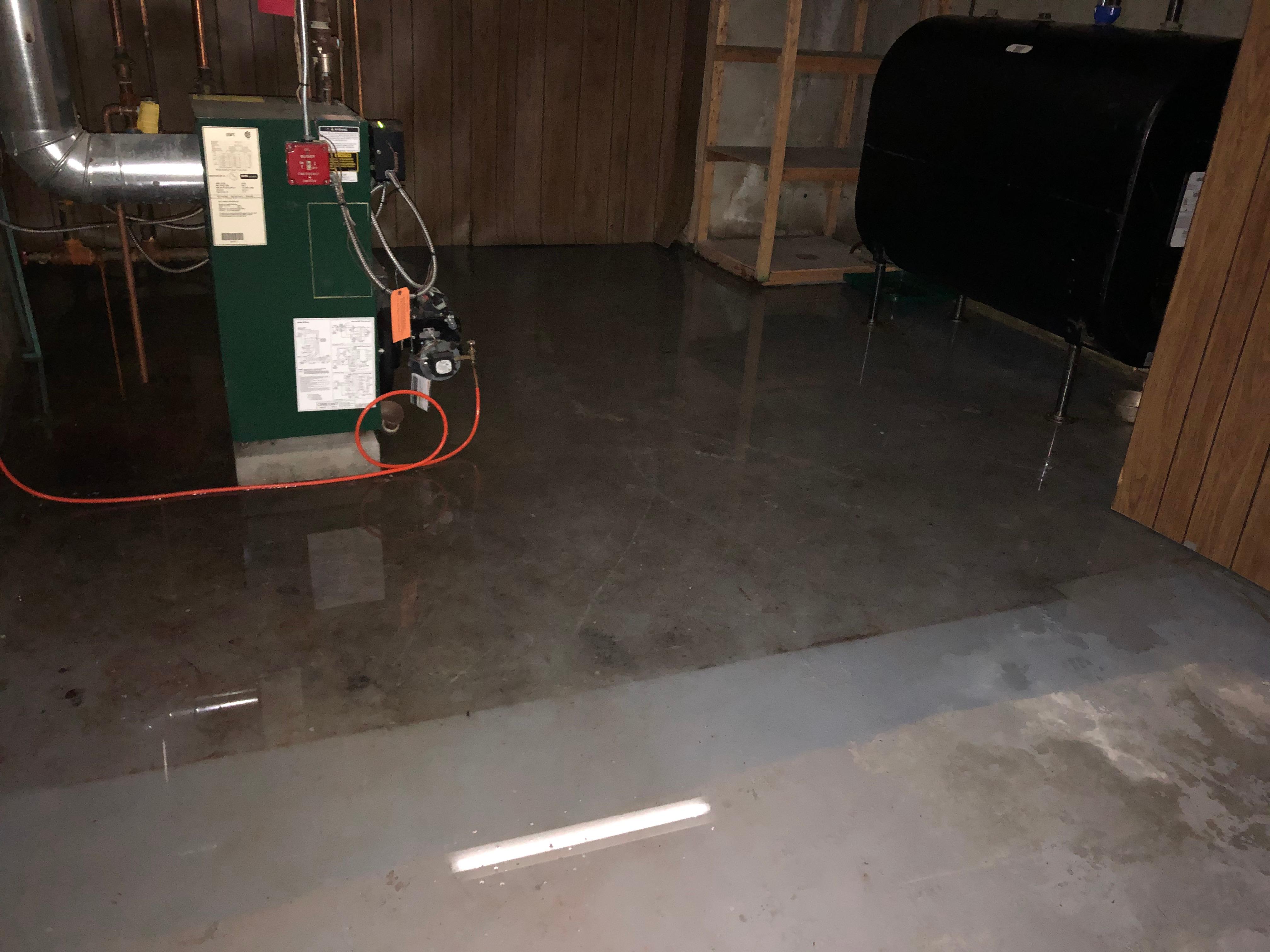 Standing water in a Providence property.