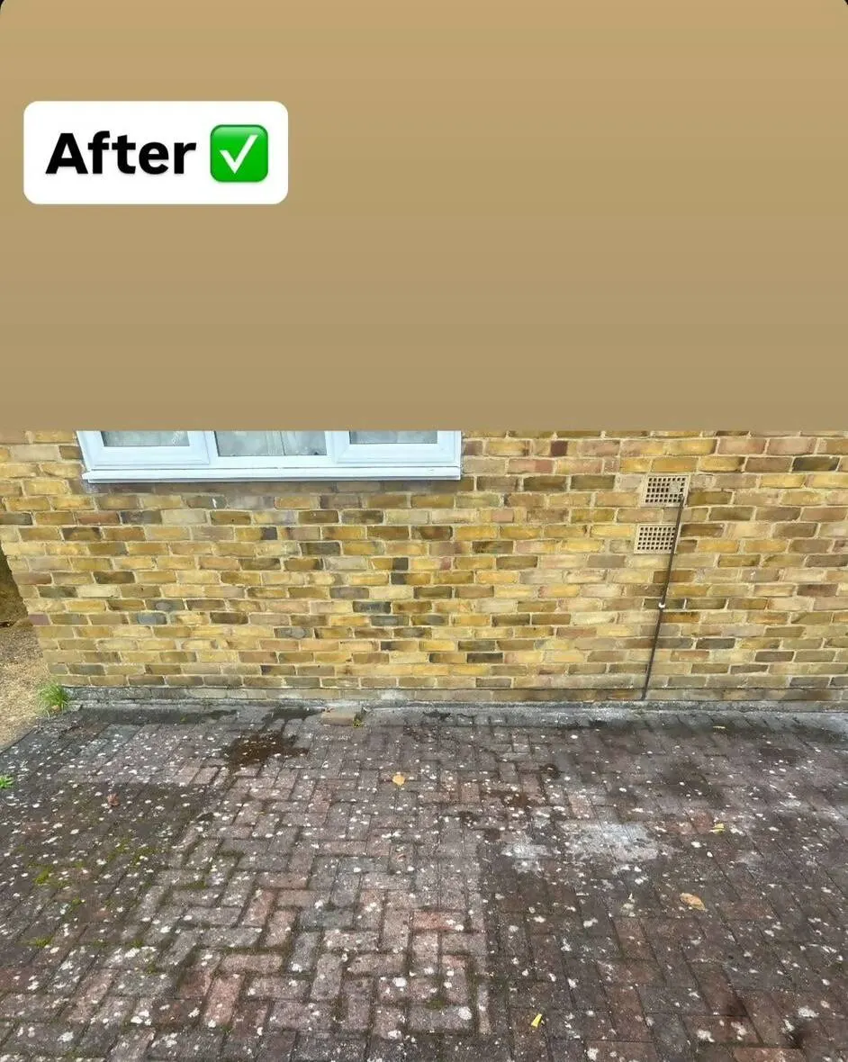 Images Bincredible Waste Solutions Ltd