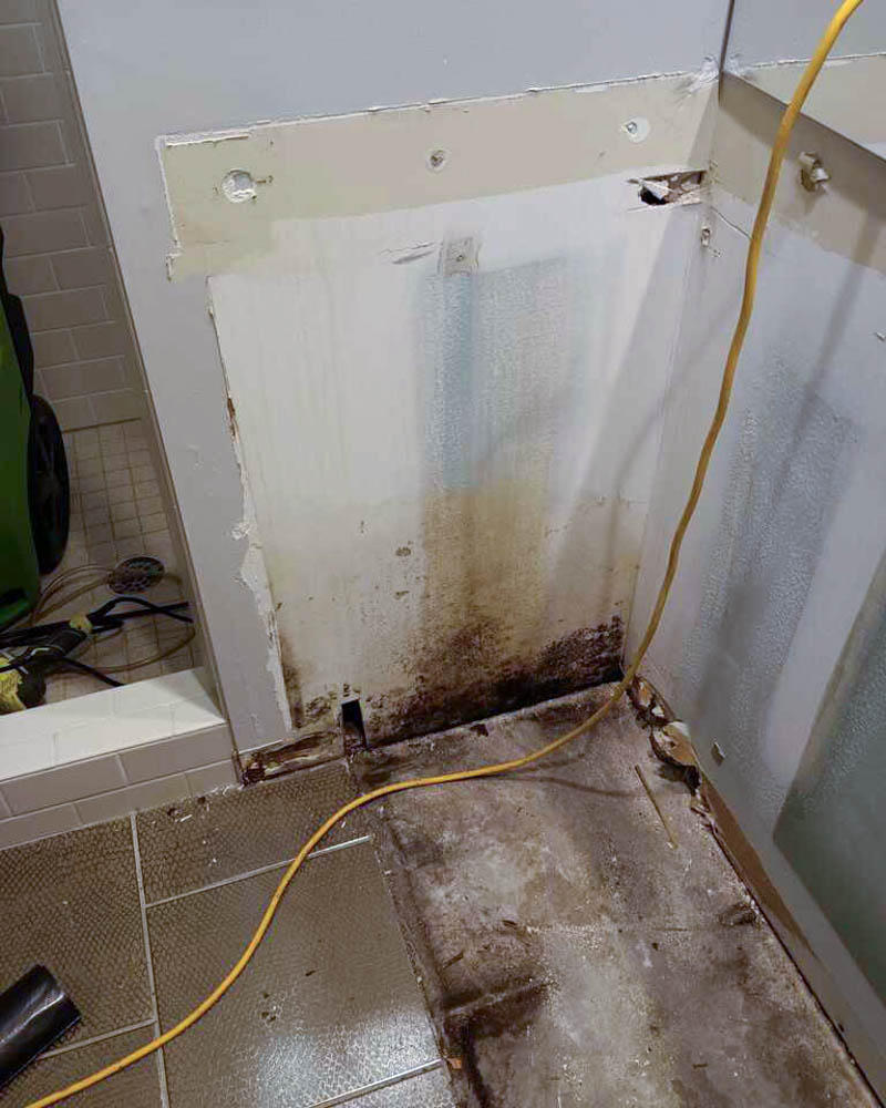 You may have a mold problem if there are bad smells coming from your floors, walls, or drains. SERVPRO of Greater Broken Arrow is equipped to meet all of your mold removal requirements. Give us a call!