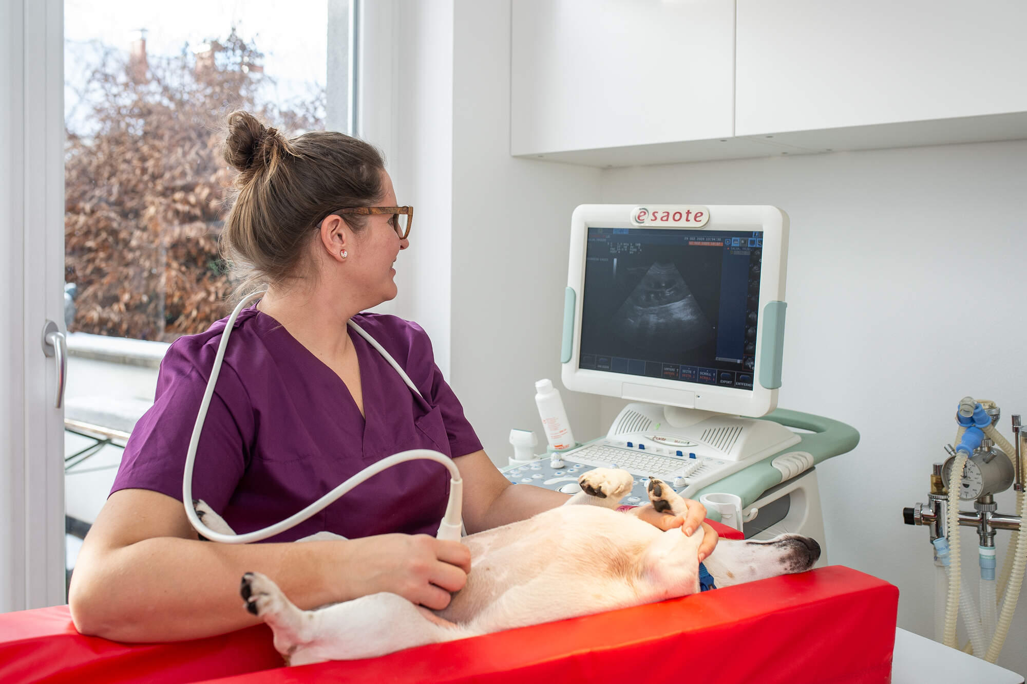 Kleintierordination Weiz, Mag. Alexandra Kienreich, Schillerstraße 43 in Weiz