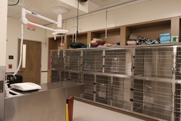 Images VCA Mainland Animal Hospital