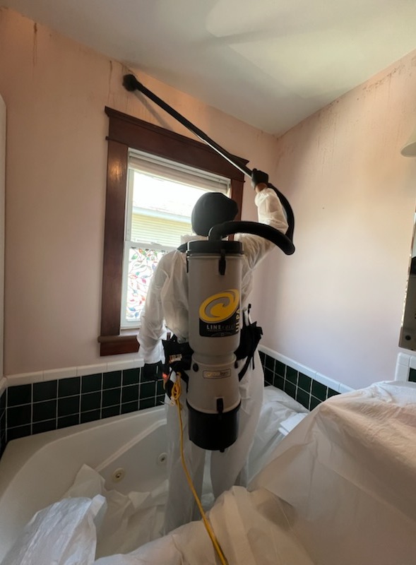 Images Quality Mold Remediation LLC