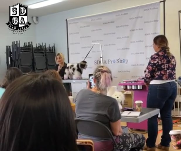 Images San Diego Grooming Academy